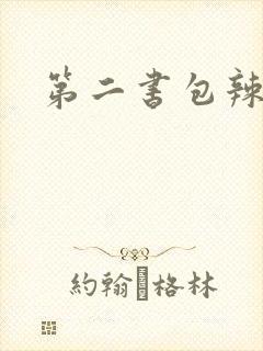 第二书包辣文