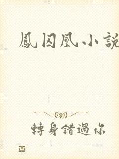 凤囚凰小说