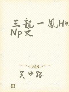 三龙一凤H啪肉Np文