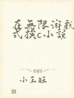 在无限游戏里花式挨c小说封面
