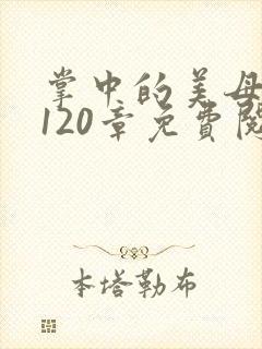 掌中的美母版主120章免费阅读