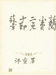 苏十二小说最新章节免费阅读全文