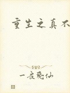 重生之真不挖煤