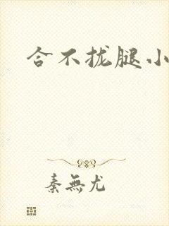 合不拢腿小说