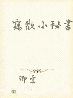 窃欢小秘书封面