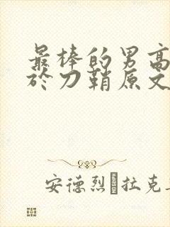 最棒的男高中生于刀鞘原文阅读