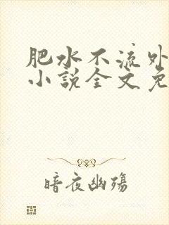 肥水不流外人田小说全文免费阅读1