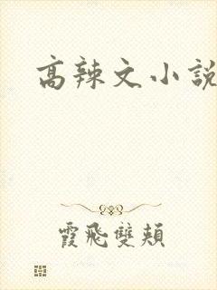 高辣文小说