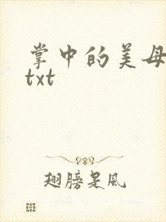 掌中的美母版主txt