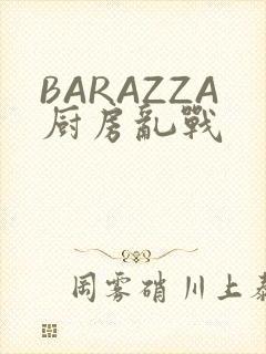 BARAZZA厨房乱战