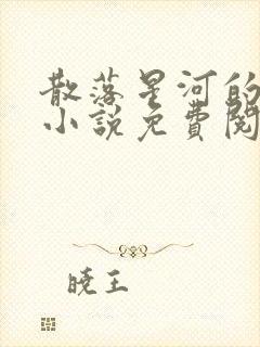 散落星河的记忆小说免费阅读全文封面