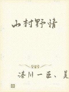 山村野情封面