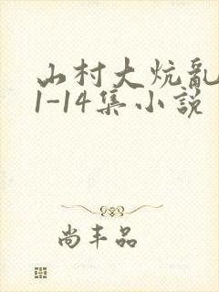 山村大炕乱肉续1-14集小说