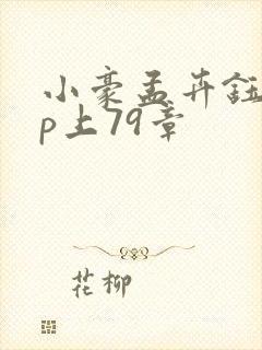 小豪孟卉钰慧三p上79章