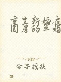 重生新婚夜正在圆房的军婚