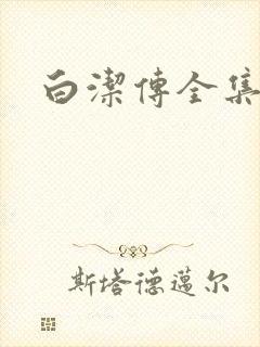 白洁传全集