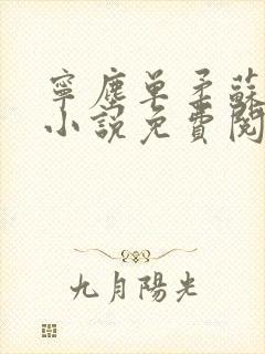 宁尘单柔苏千雪小说免费阅读最新