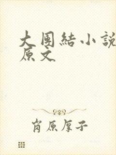 大团结小说阅读原文