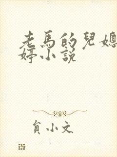 老马的儿媳顾婉婷小说封面