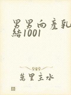 男男向产乳文小结1001封面
