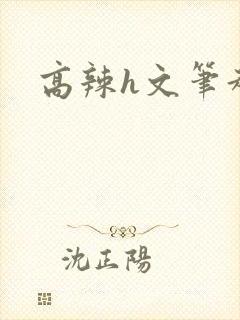 高辣h文笔趣阁