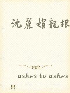 沈丽娟龙根封面