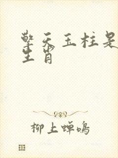 擎天玉柱是什么生肖