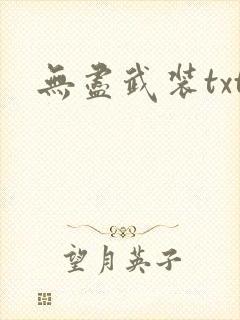无尽武装txt