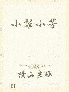 小说小芳