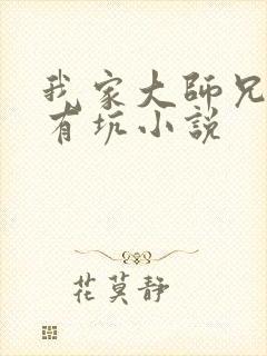 我家大师兄脑子有坑小说封面