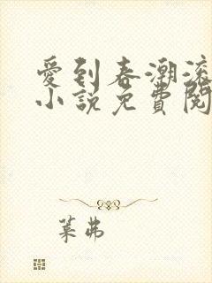 爱到春潮滚滚来小说免费阅读