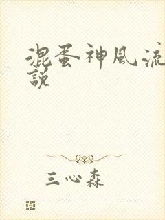 混蛋神风流史小说