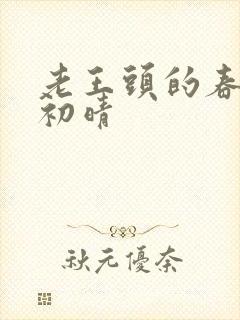 老王头的春天林初晴封面