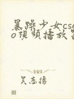 暴躁少女csgo视频播放器推荐