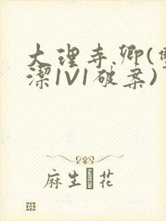 大理寺.卿(双洁1V1破案)