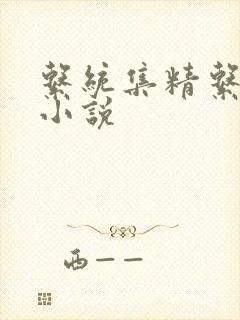 系统集精系统 小说