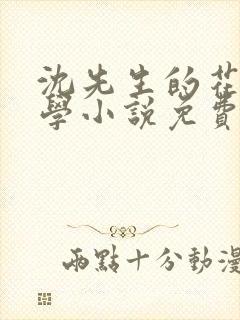 沈先生的花式教学小说免费封面