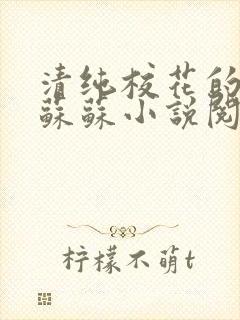 清纯校花的日常苏苏小说阅读全文