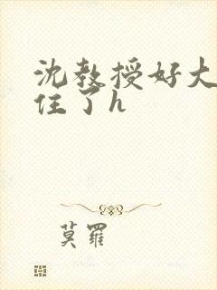 沈教授好大含不住了h