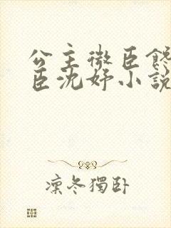 公主微臣馋了微臣沈妤小说