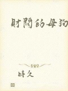 财阀的母狗们