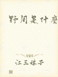 野周是什么意思