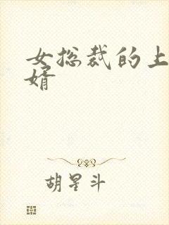 女总裁的上门女婿