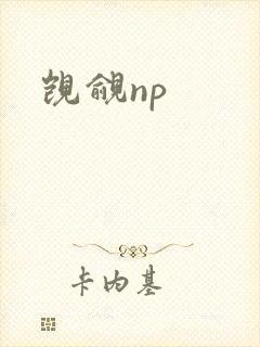 觊觎np