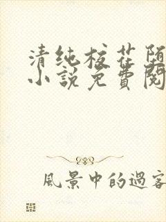 清纯校花堕落记小说免费阅读