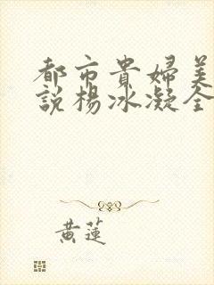 都市贵妇美腿小说杨冰凝全文阅读