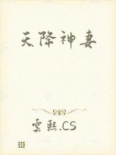 天降神妻