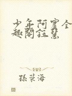 少年阿宾全文笔趣阁钰慧封面