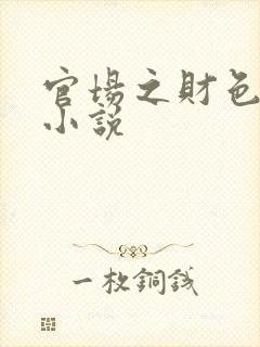 官场之财色诱人小说