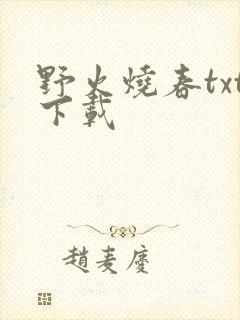野火烧春txt下载
